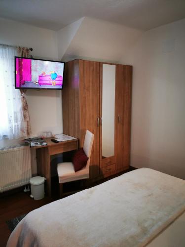 Μια τηλεόραση ή/και κέντρο ψυχαγωγίας στο Guesthouse Samolov