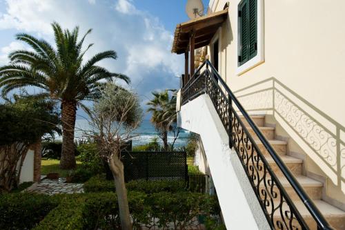 a staircase leading up to a house with a palm tree at Afroditi in Glyfada