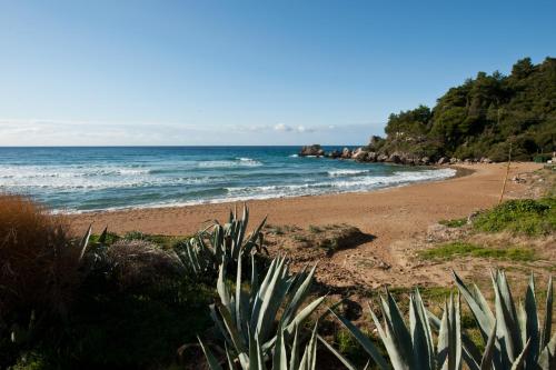a beach with a view of the ocean at Afroditi in Glyfada