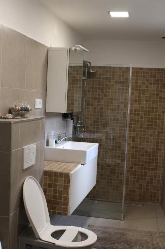 a bathroom with a toilet and a sink and a shower at Apartmány Stříbro in Stříbro