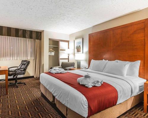 a hotel room with a large bed and a desk at Wyndham Garden Medicine Hat Conference Center in Medicine Hat