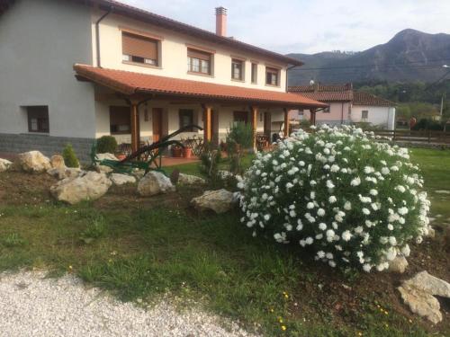 a house with a bush of white flowers in the yard at La Llastra de Garaña in Llanes