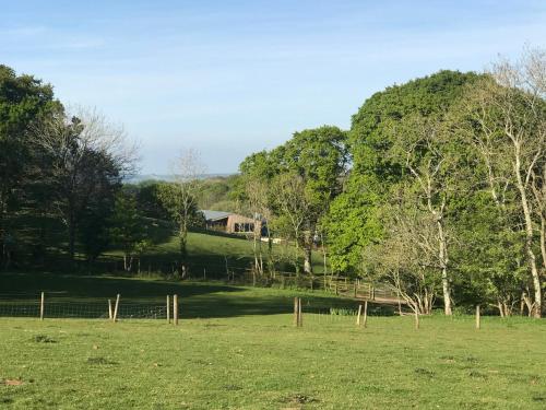 Godshill Park Barn – Photos 3
