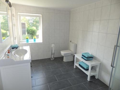 baño con lavabo y aseo y ventana en Ferienwohnung Weserberglandblick en Hameln