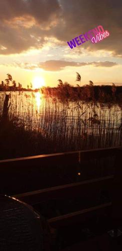 a sunset over a field of tall grass at Cottage Ajna - Ada Bojana in Ulcinj