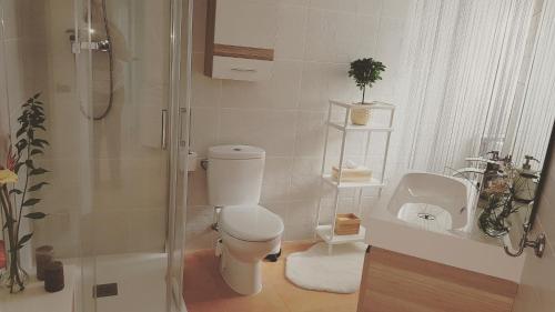 a bathroom with a toilet and a shower and a sink at Atico estudio en 1°linea Almuñecar in Almuñécar