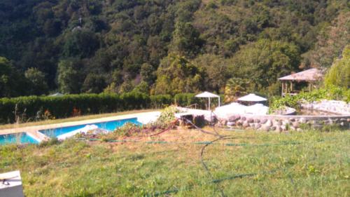 a herd of sheep standing next to a swimming pool at Refugios Olmue Santa Teresa in El Maqui