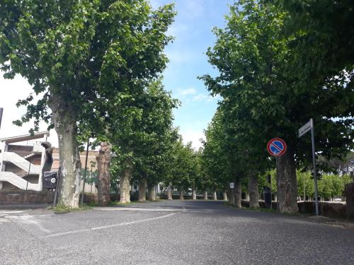 eine Straße mit Bäumen an der Seite einer Straße in der Unterkunft Velia's Home Casa Vacanze B&b in Castel SantʼElia