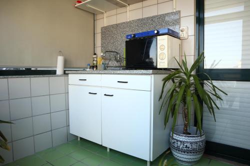 River & Ocean Studio