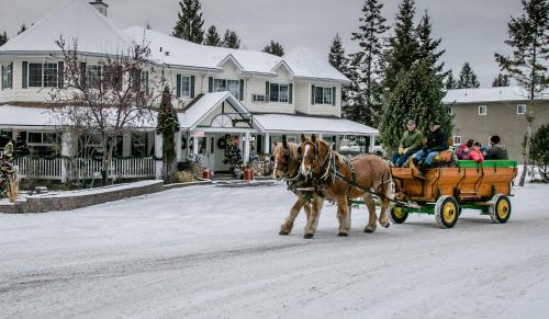 a horse pulling a cart with people on it at Inn on Canyon in Radium Hot Springs