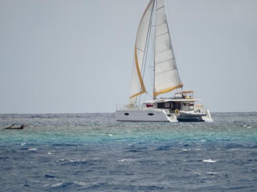 Te Fitii Garden & Beach