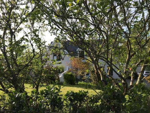 a house seen through the trees in the yard at Tranquil Water in Midleton