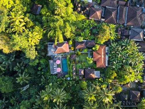 Un jardín fuera de Astana Swaha Villa