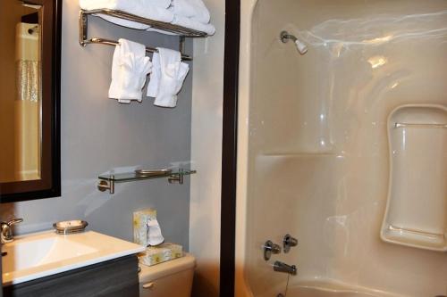 
a bathroom with a shower, toilet and sink at Bras d'Or Lakes Inn in St. Peter's
