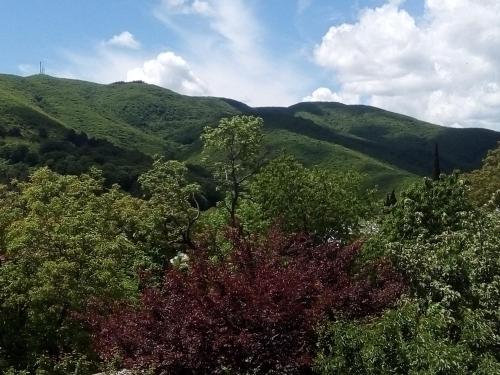 a view of auliculiculiculiculiculiculiculiculiculiculiculic at Best Host in Sighnaghi