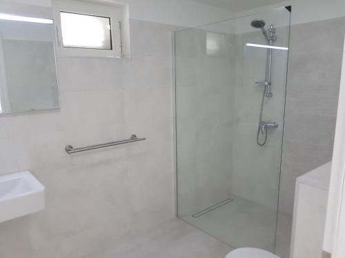 uma casa de banho com um chuveiro e uma porta de vidro em Fig Tree em Povlja