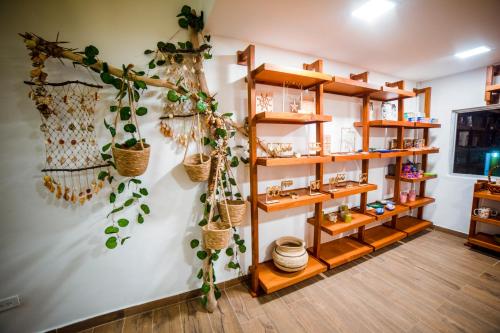 a room with wooden shelves and plants on the wall at Solare SAI Ecohotel in San Andrés