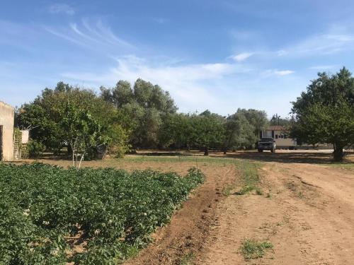 a dirt road with a truck parked in a field at The Farm Tiny House - Tiny Casa in Chiclana de la Frontera