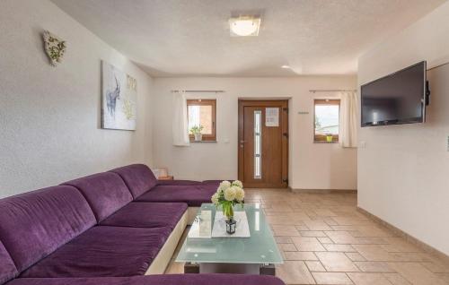 TV a/nebo společenská místnost v ubytování Apart Complex Villa Anja