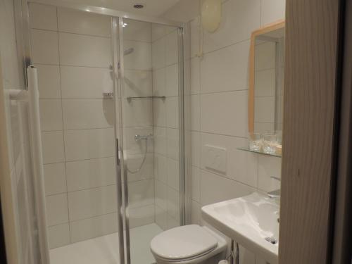 a bathroom with a shower and a toilet and a sink at Ferienwohnungen Schöbringer in Weyregg