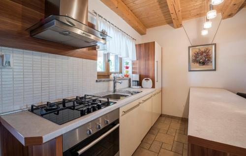 Kuchyň nebo kuchyňský kout v ubytování Apart Complex Villa Anja