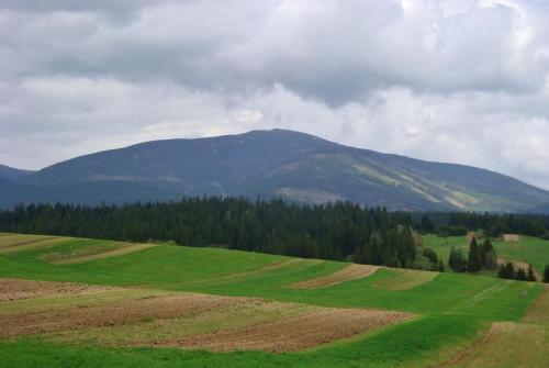 a green field with a mountain in the background at Chata Živa pod Babou horou in Oravská Polhora