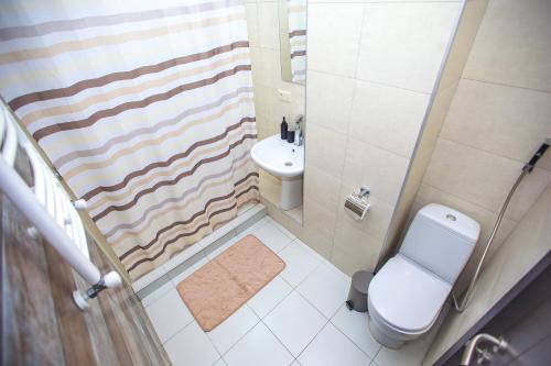 a small bathroom with a toilet and a sink at Lebu Apartment TBS in Tbilisi City
