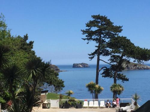 a view of a body of water with a tree at The Osborne Apartments in Torquay