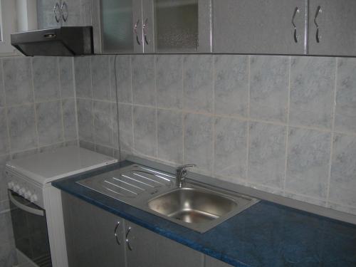 Dapur atau dapur kecil di Pensiunea Claudiu