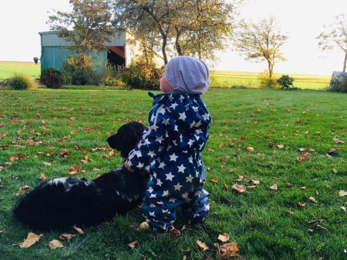 Domácí mazlíčci ubytovaní s hosty v ubytování Bauernhof Steffens