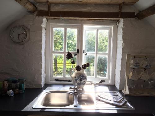 eine Küchenspüle mit Fenster und eine Vase mit Blumen in der Unterkunft Little Barn, Greendale Farm in Barnstaple