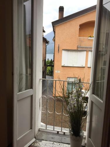 an open door with a potted plant on a balcony at Petit Bijou in Varenna