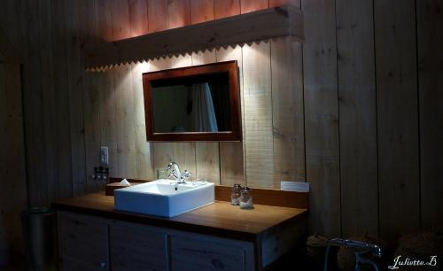 a bathroom with a white sink and a mirror at Chambres d'Hôtes de Pesquès in Termes-dʼArmagnac