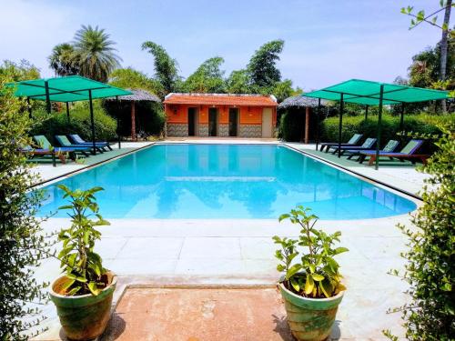 Fotografie z fotogalerie ubytování The Mountain Retreat v destinaci Tiruvannamalai