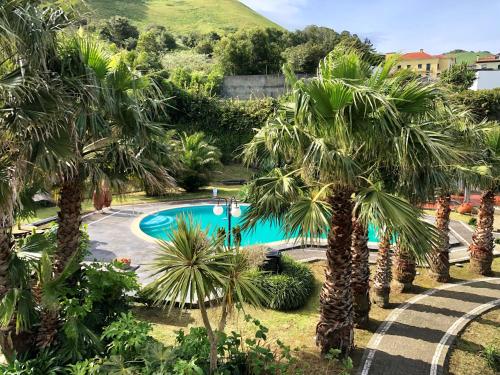 a pool with palm trees and a hill in the background at Quinta Da Bela Vista in Ponta Delgada