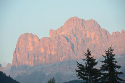 a large mountain with trees in front of it at Zyprianhof in Nova Levante