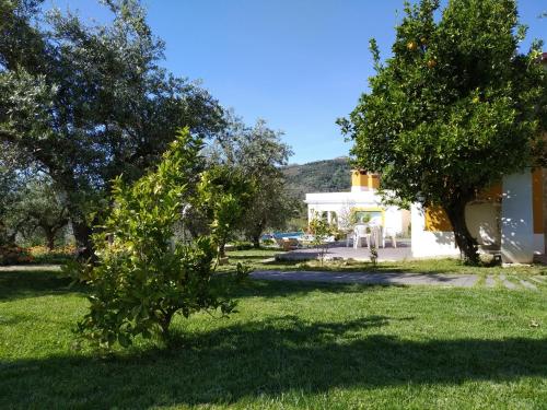 podwórze z drzewami i białym domem w obiekcie Casa da Paleta w mieście Castelo de Vide