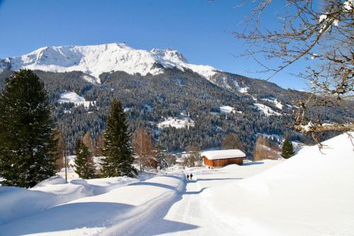 冬のMonami Apartments Klosters, Apt. Villa Kunterbuntの様子