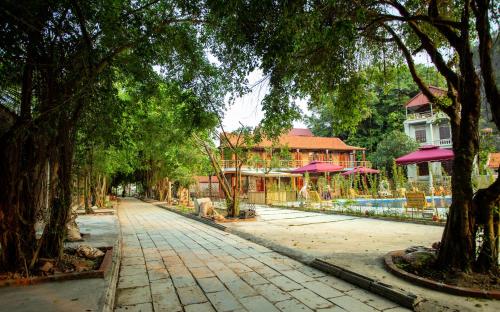 an empty street with trees and houses in the background at Ruby Homestay in Ninh Binh