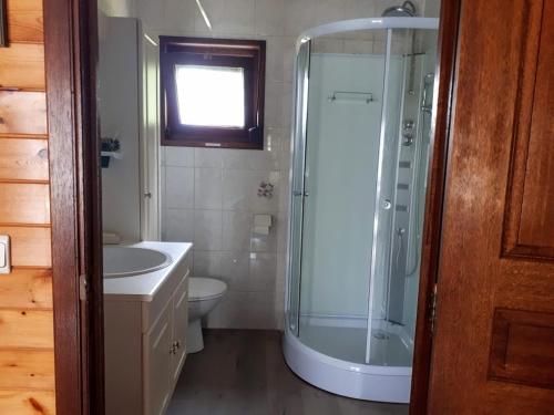 a bathroom with a shower and a toilet and a sink at Ons huisje "Bienvenidos" met garage in Durbuy