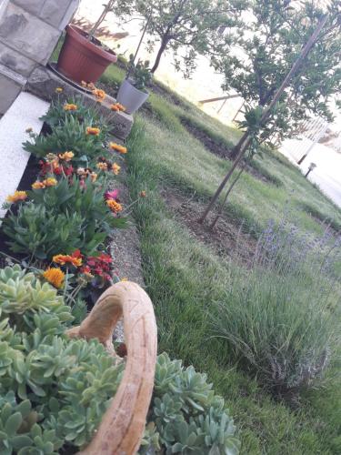 a garden with a basket of flowers and plants at Nijona 1 in Trebinje