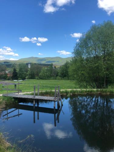 a dock on a body of water in a field at Landhotel Christopherhof in Grafenwiesen