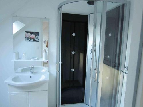 a bathroom with a shower and a sink at Les Chambres de Pascaline in Arrest
