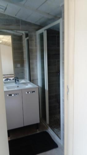 ein Bad mit einem Waschbecken und einer Dusche mit einem Spiegel in der Unterkunft L'Hibiscus in Talais