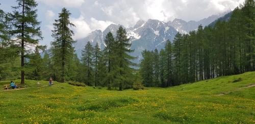 two people sitting on a bench in a field of flowers at The OldMillhouse in Mojstrana