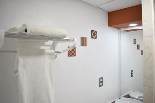 a bathroom with a towel rack and a toilet at Hotel San Luis in San Luis Potosí