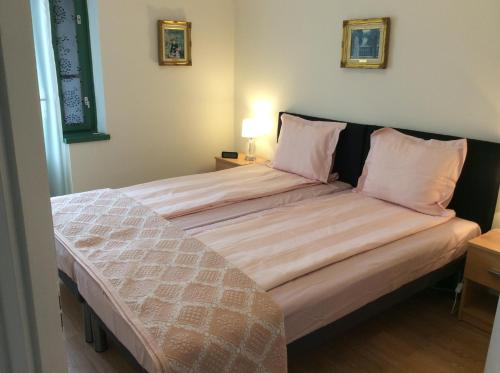 ザラカロシュにあるBiro Apartmanのベッドルーム1室(ピンクの枕が付いた大型ベッド1台付)