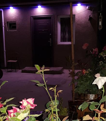 een paars huis met een paarse deur en paarse verlichting bij Galavani in Tbilisi City