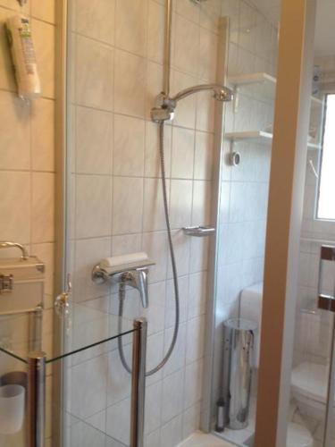 a shower in a bathroom with a glass door at Ferienwohnung am Seezeichen in Böhl