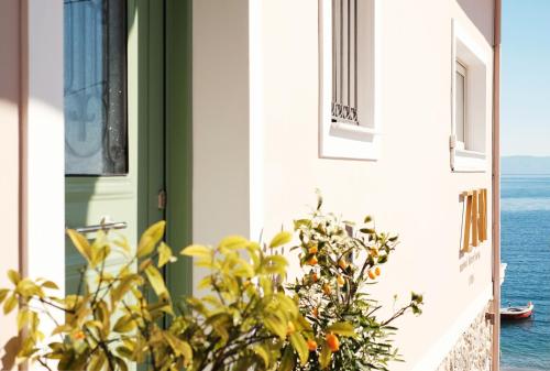 a house with a plant in front of a door at ZEN Minimal Luxury Housing Tyros in Tiros